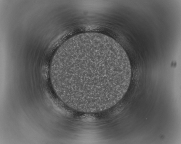X0000113940648200911061242