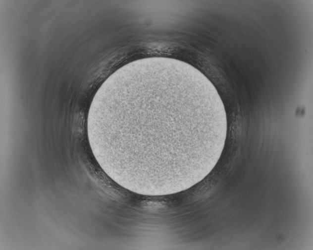 X0000113940649200911061242