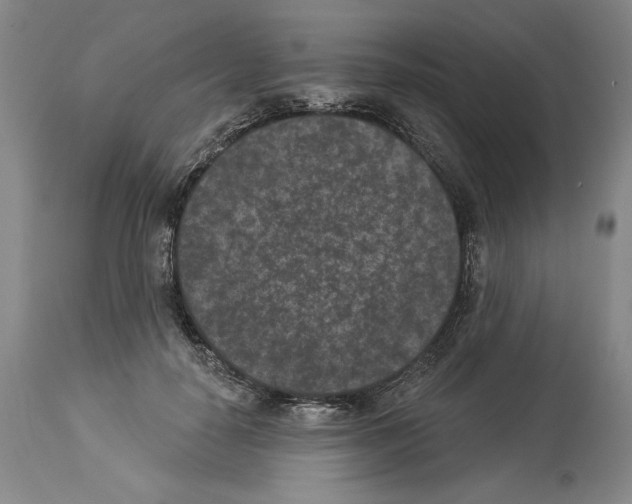 X0000113940650200911061242