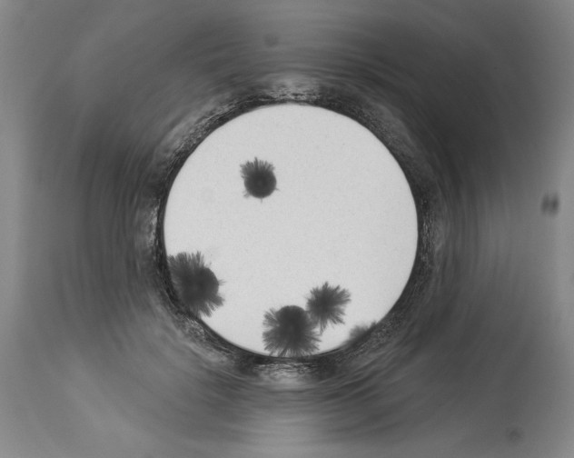 X0000113940652200911061242
