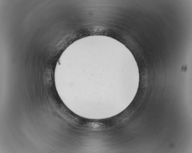 X0000113940654200911061242