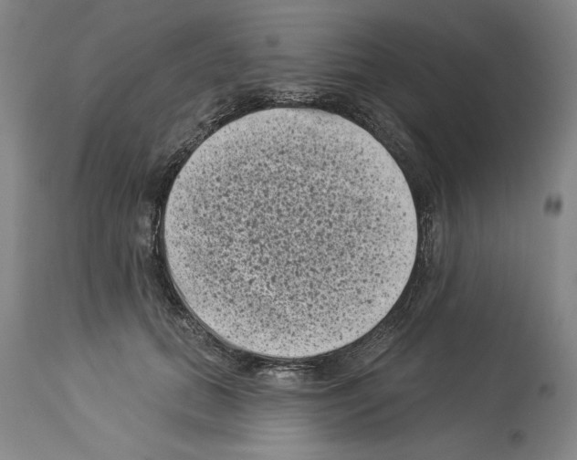 X0000113940655200911061242