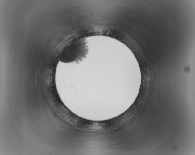 X0000113940656200911061242