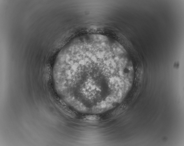 X0000113940659200911061242