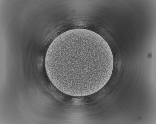 X0000113940660200911061242