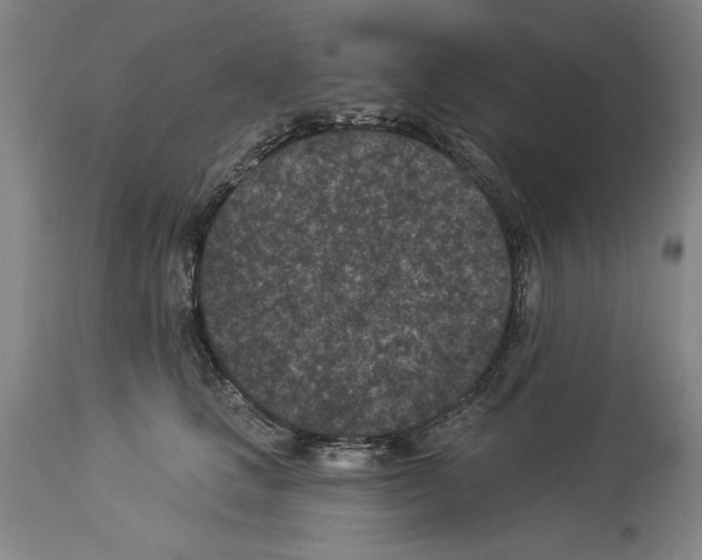 X0000113940661200911061242