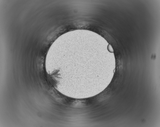 X0000113940664200911061243