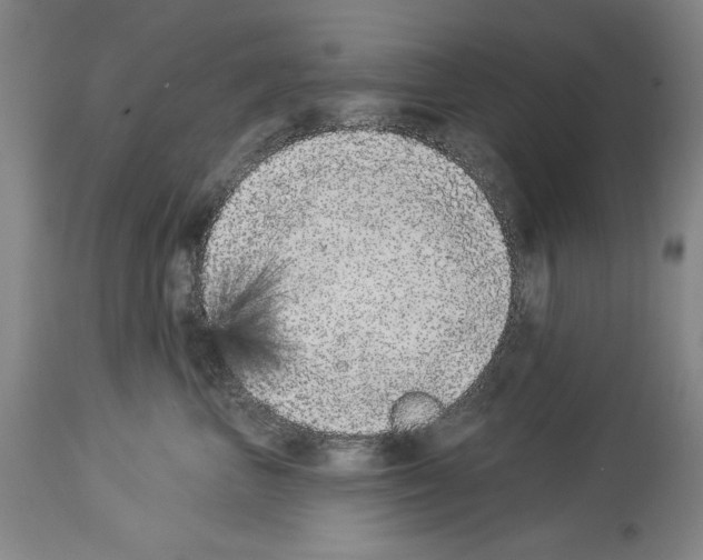 X0000113940667200911061243