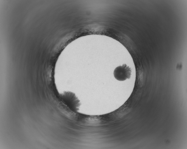 X0000113940668200911061243