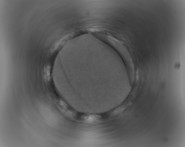X0000113940670200911061243