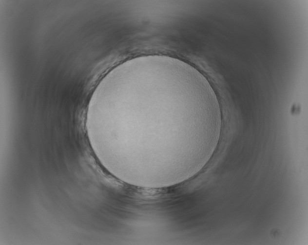 X0000113940672200911061243
