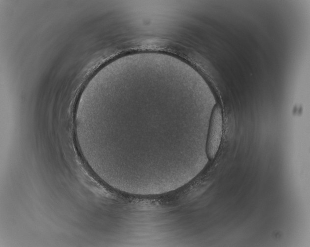 X0000113940673200911061242