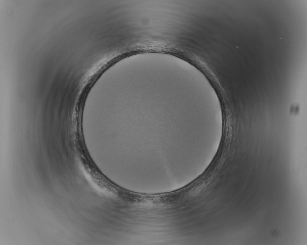 X0000113940674200911061242
