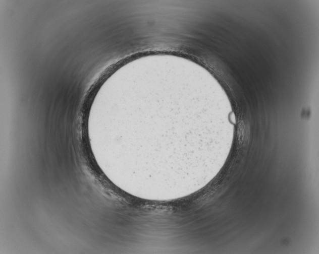 X0000113940676200911061242