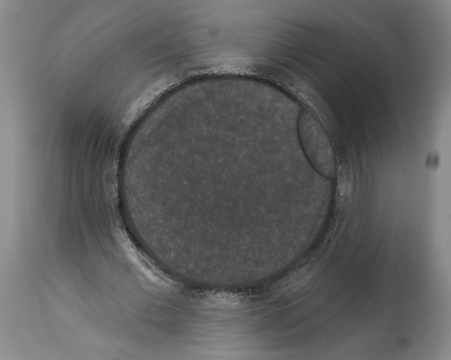 X0000113940677200911061242
