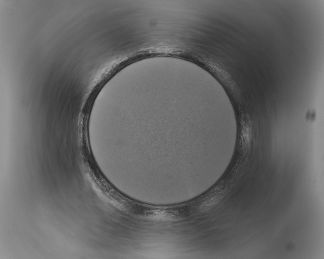 X0000113940678200911061242
