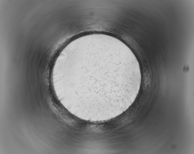 X0000113940680200911061242