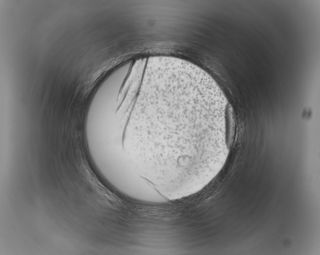 X0000113940681200911061242