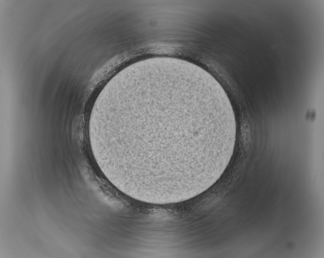 X0000113940682200911061242