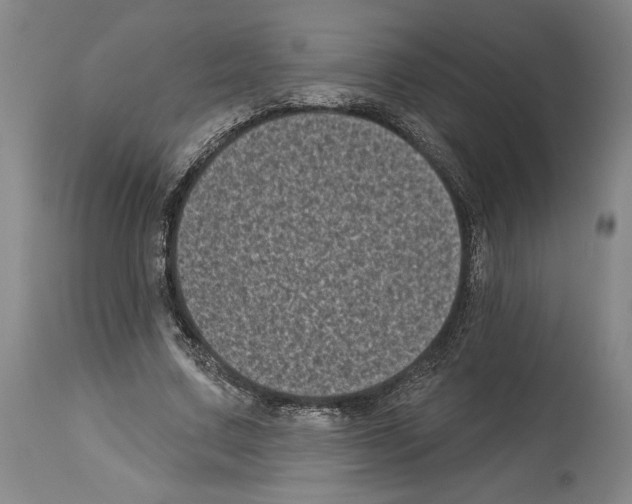 X0000113940683200911061242