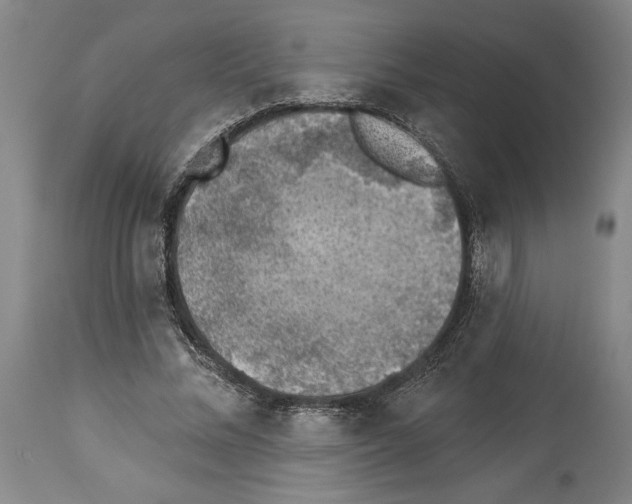 X0000113940684200911061242