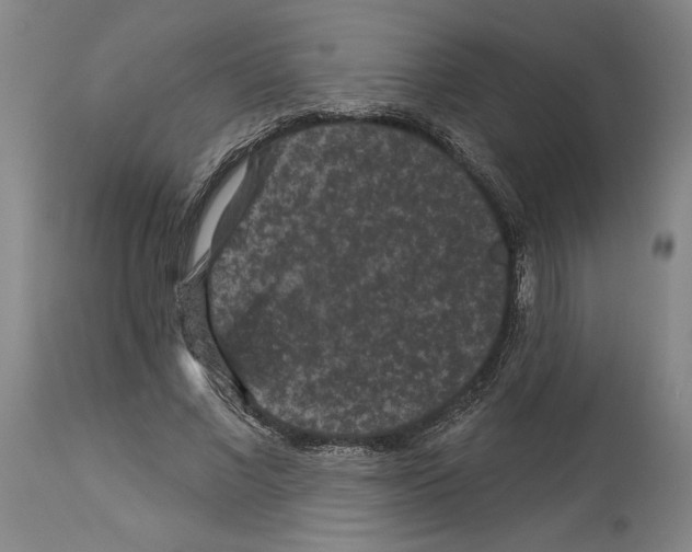 X0000113940685200911061242