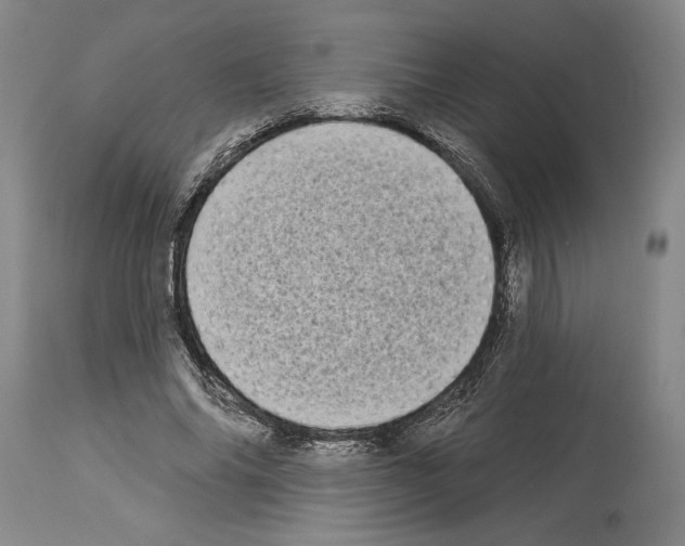 X0000113940686200911061242