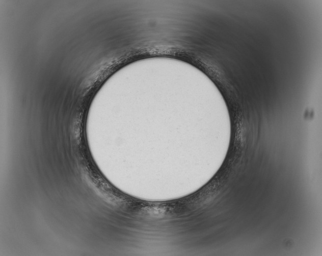 X0000113940687200911061242