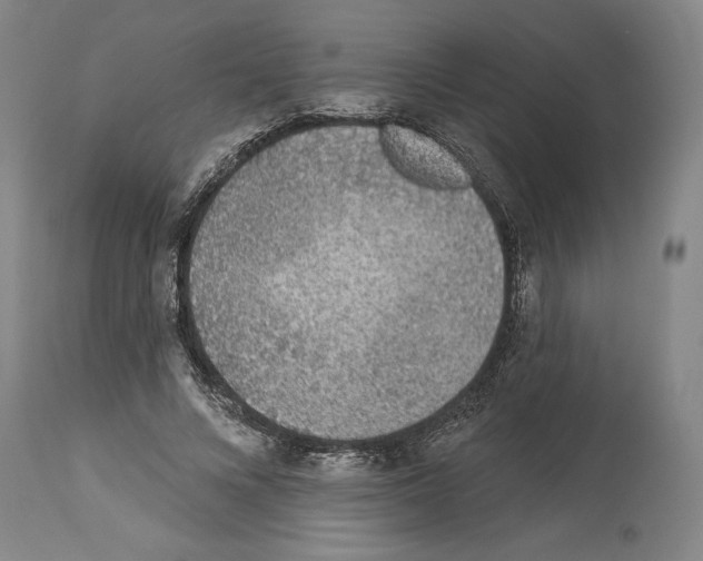 X0000113940688200911061242