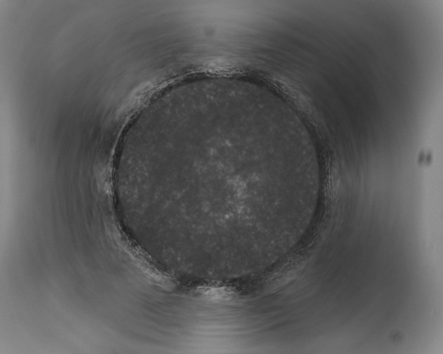 X0000113940689200911061242