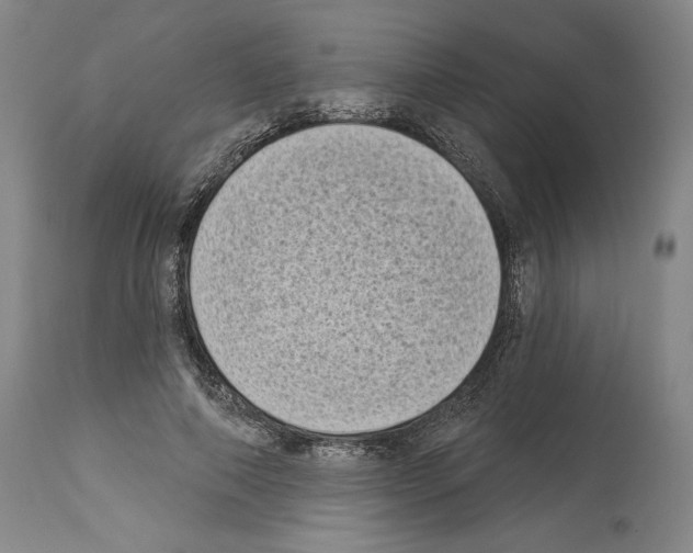 X0000113940690200911061242