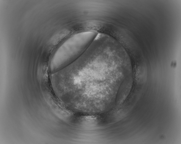 X0000113940692200911061242