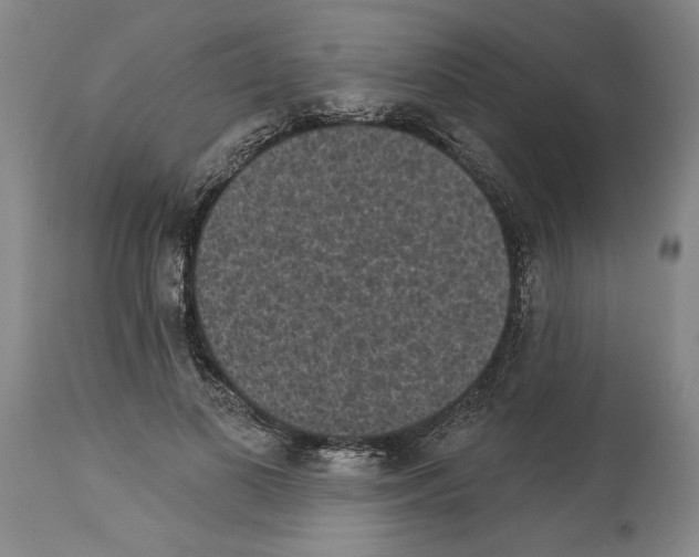 X0000113940693200911061242