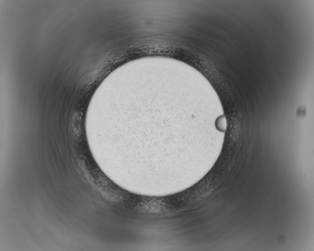 X0000113940695200911061242