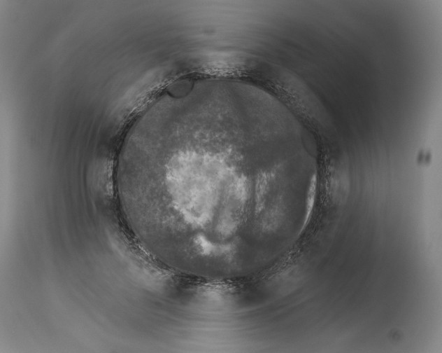 X0000113940696200911061242