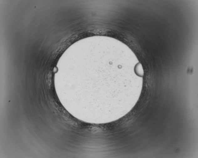 X0000113940697200911061242