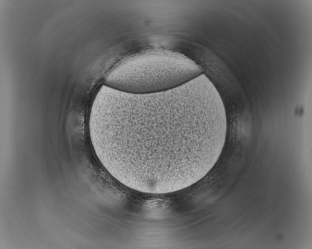 X0000113940700200911061242