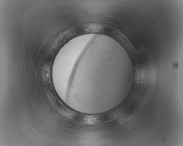 X0000113940701200911061242