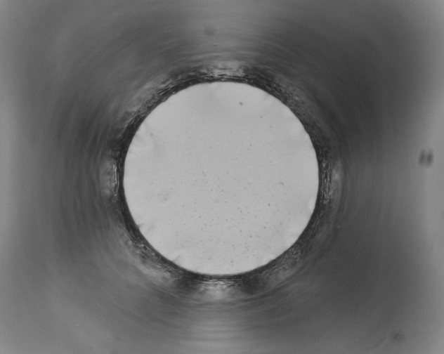 X0000113940704200911061242