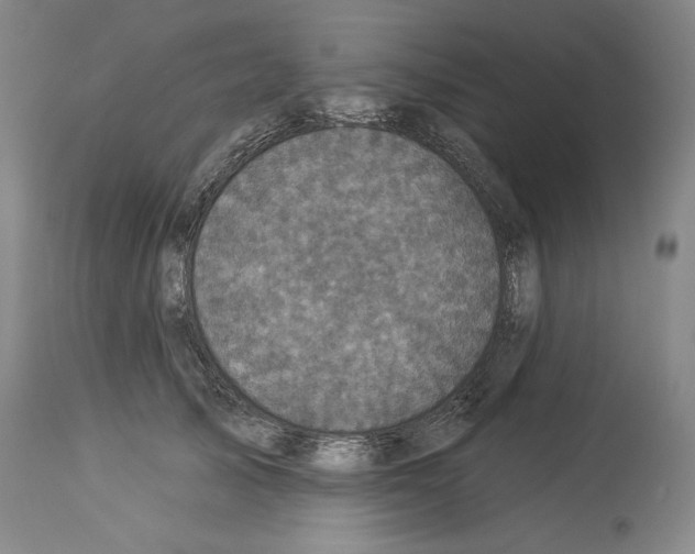 X0000113940705200911061242