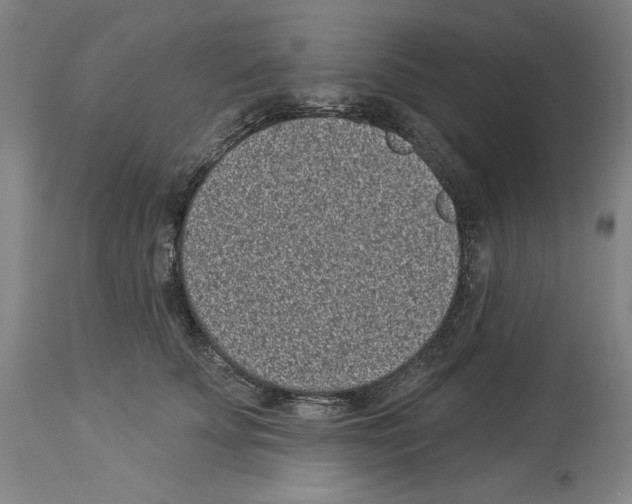 X0000113940707200911061242