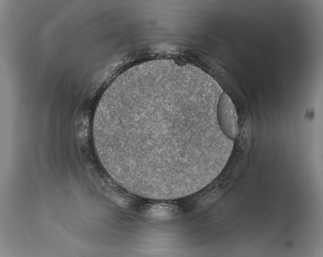 X0000113940708200911061241