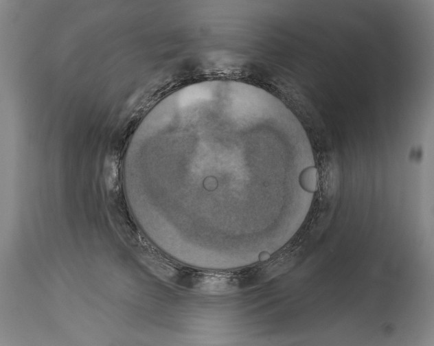 X0000113940709200911061241