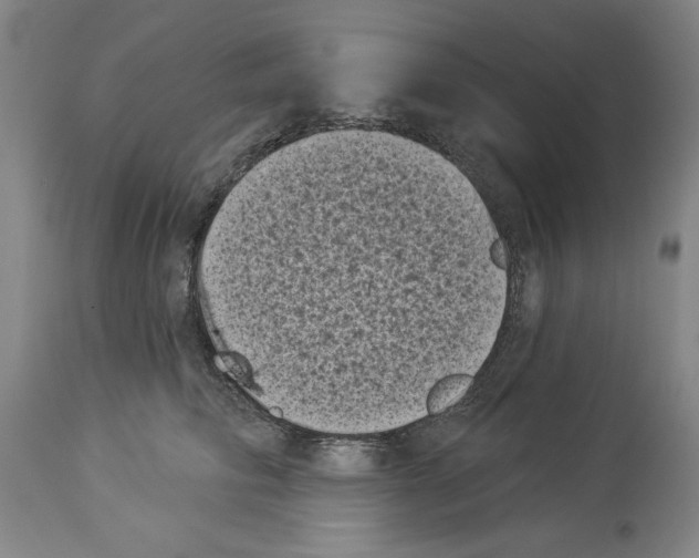 X0000113940710200911061241
