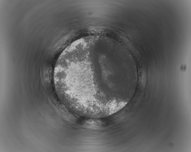 X0000113940712200911061241