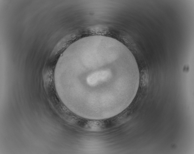 X0000113940713200911061241
