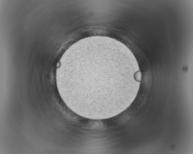 X0000113940715200911061241
