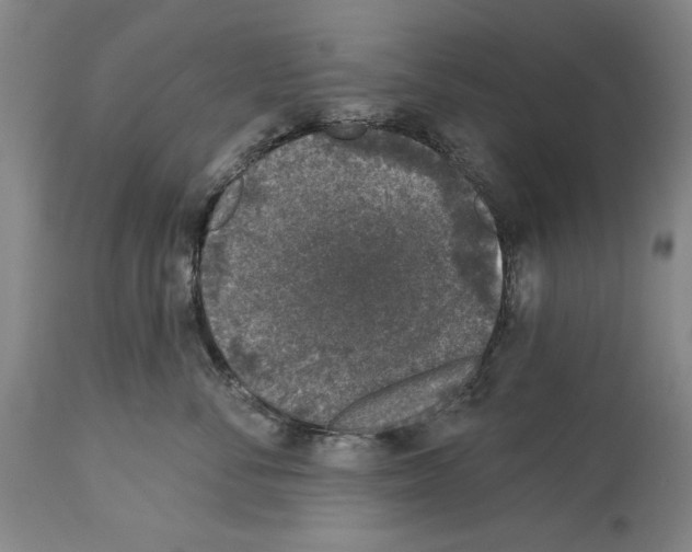 X0000113940716200911061241