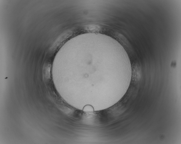 X0000113940717200911061241