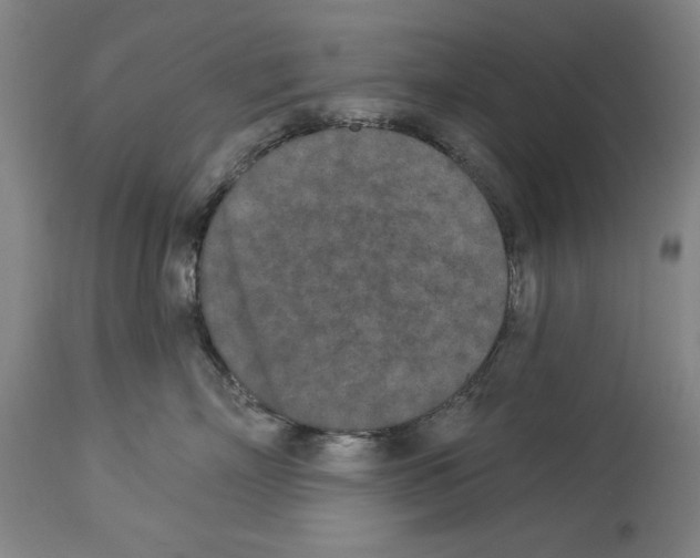 X0000113940718200911061241